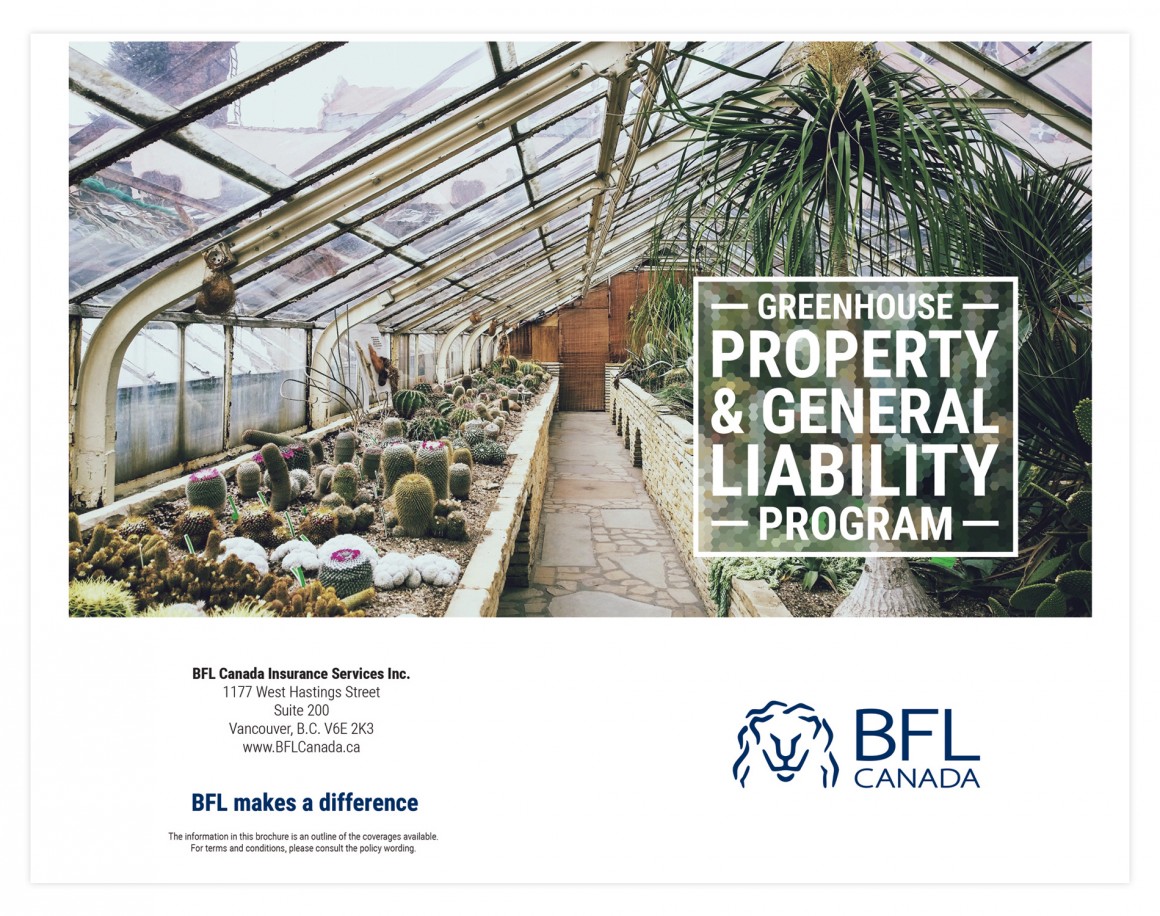 bfl-brochure-cover-main